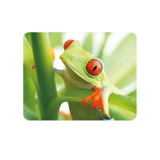Obrázek z Magnet 3D 7x9cm - žába (25) 